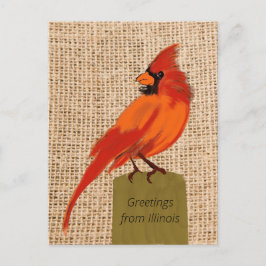Illinois State Bird Briefkaart