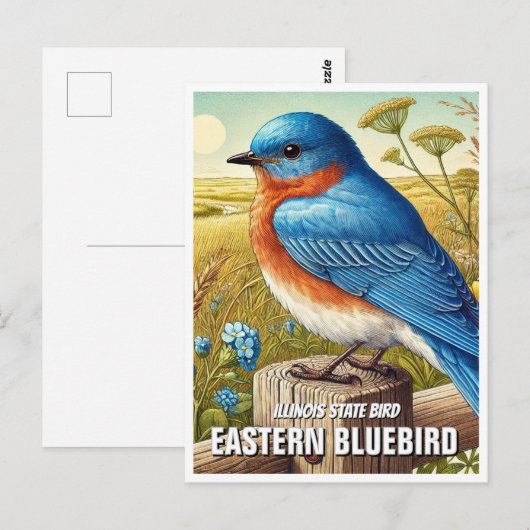 Illinois State Bird Eastern Bluebird Briefkaart (Voorkant / Achterkant)