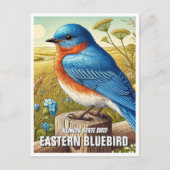 Illinois State Bird Eastern Bluebird Briefkaart (Voorkant)