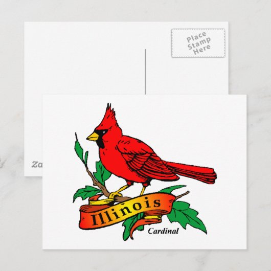 Illinois State Bird - Kardinaal Briefkaart (Voorkant / Achterkant)