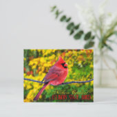 Illinois State Bird - Northern Cardinal Briefkaart (Staand voorkant)