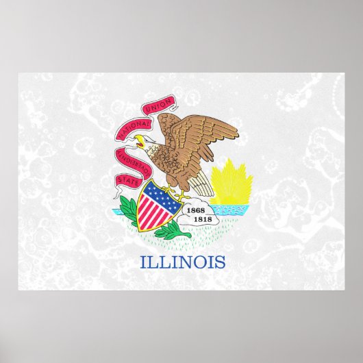 Illinois State Flag Grunge Poster (Voorkant)