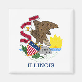 Illinois State Flag Magneet