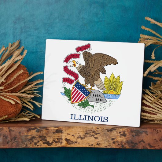 Illinois State Flag Plaque Fotoplaat (Zijkant)