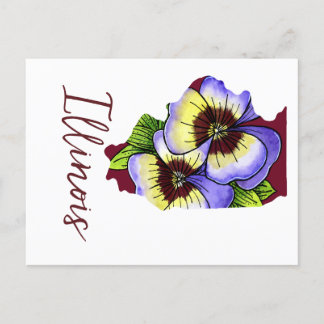 Illinois State Flower Briefkaart
