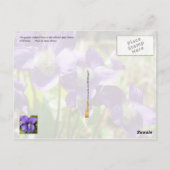 Illinois State Flower: Violet Briefkaart (Achterkant)