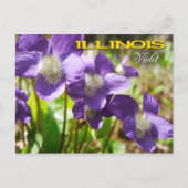 Illinois State Flower: Violet Briefkaart (Voorkant)