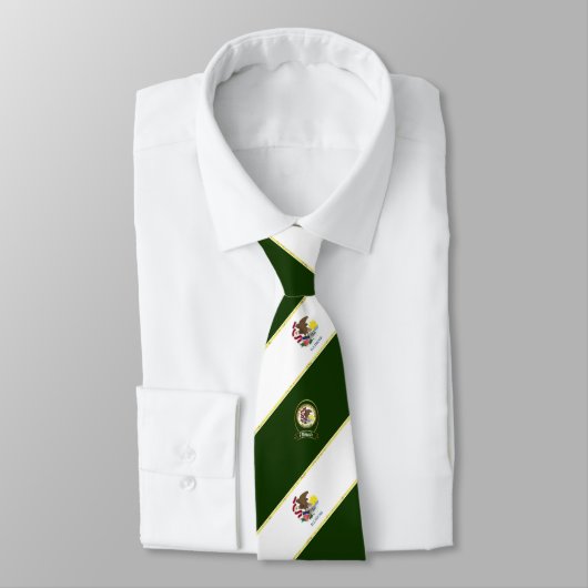 Illinois strepen vlag stropdas (Gebonden)