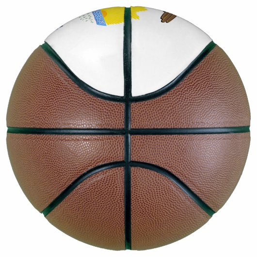 Illinois vlag basketbal (Rechts)