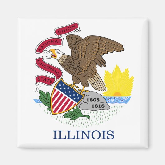Illinois vlag magneet (Voorkant)