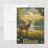 Illinois witstaarthert briefkaart (Voorkant / Achterkant)