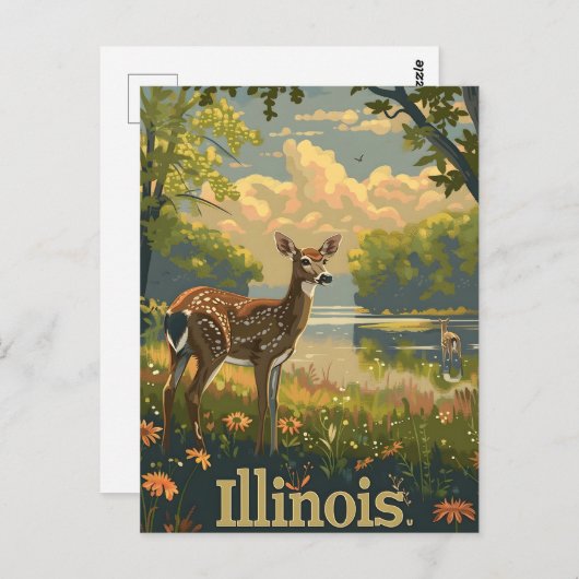 Illinois witstaarthert briefkaart (Voorkant / Achterkant)