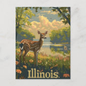 Illinois witstaarthert briefkaart (Voorkant)
