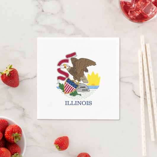 Illinoisan Flag, Flag of Illinois Servet (Insitu)