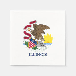 Illinoisan Flag, Flag of Illinois Servet