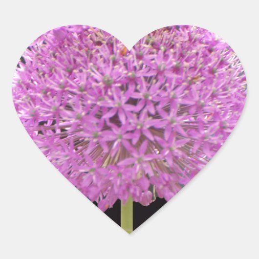 Illium Summer Spring Flower - Irish Design Hart Sticker (Voorkant)