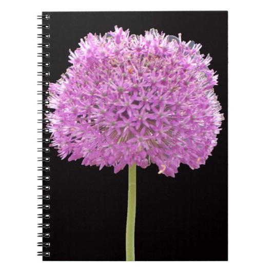 Illium Summer Spring Flower - Irish Design Notitieboek (Voorkant)