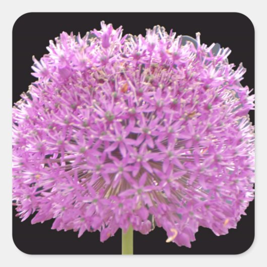 Illium Summer Spring Flower - Irish Design Vierkante Sticker (Voorkant)