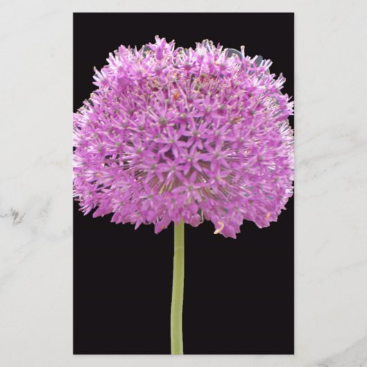 Illium Zomer Lente Bloem -Iers ontwerp Briefpapier (Voorkant)