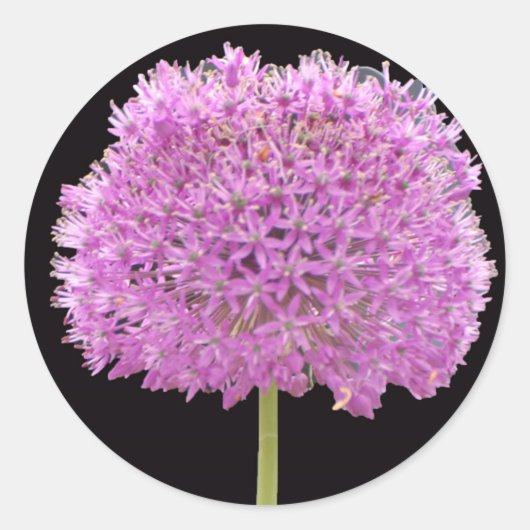 Illium Zomer Lente Bloem -Iers Ontwerp Ronde Sticker (Voorkant)