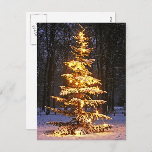 Illuminated snowy christmas tree in the woods at n feestdagenkaart (Voorkant / Achterkant)