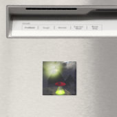 Illuminati Pyramid en UFO Magnet (Insitu (Vaatwasser))