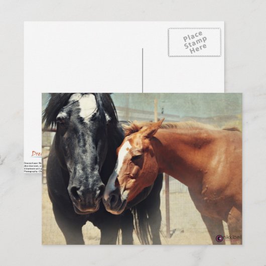 Illusie & Stormloop Briefkaart (Voorkant / Achterkant)