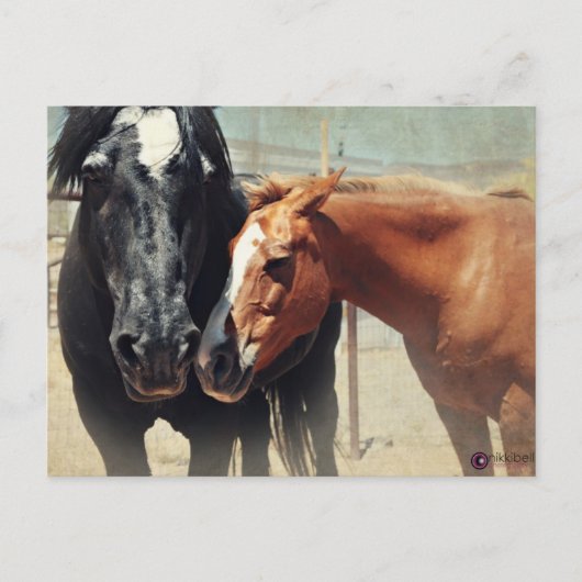 Illusie & Stormloop Briefkaart (Voorkant)