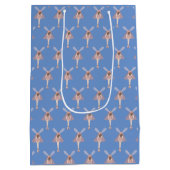 illusima Ballerina Fairy Blue Medium Cadeauzakje (Achterkant)