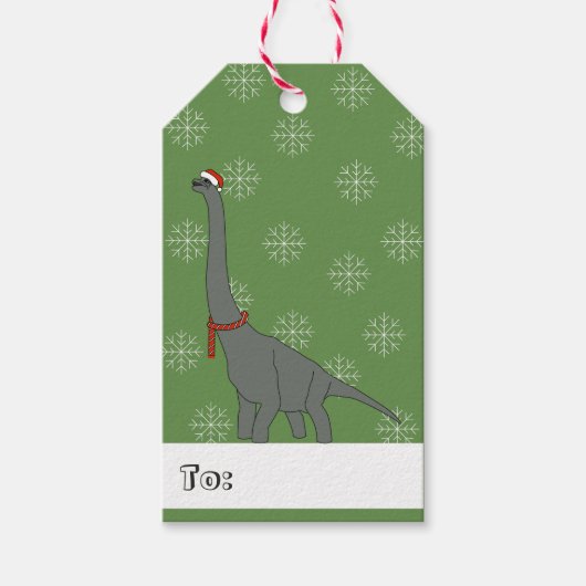 illusima Langhalsdinosaurus Kerstsneeuwvlokken Cadeaulabel (Voorkant)