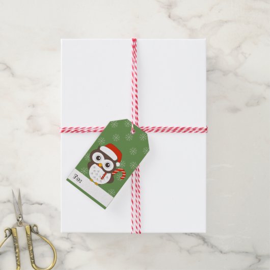 illusima Owl Kerstmis Snowflakes Green Cadeaulabel (Met Touw)
