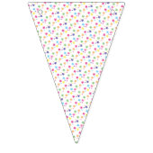 illusima Regenboog Sterren Feest Vlaggetjes (Tweede vlag)