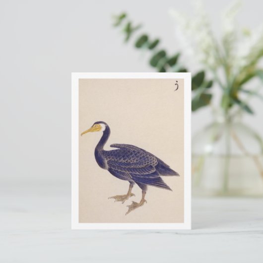  illustratie: Aalscholver Briefkaart (Staand voorkant)