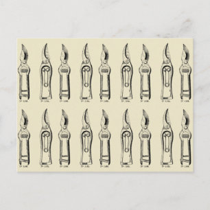 ILLUSTRATIE-afwasmachines Pruners 2 Briefkaart