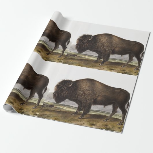 Illustratie Amerikaanse Bison (Bos Americanus) Cadeaupapier (Uitgerold)