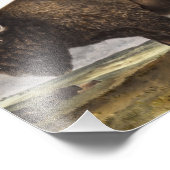 Illustratie Amerikaanse Bison (Bos Americanus) Foto Afdruk (Hoek)