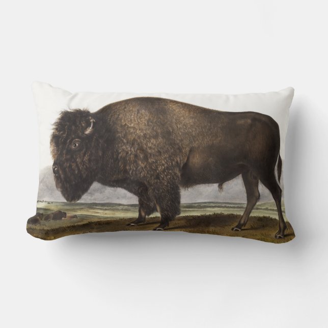 Illustratie Amerikaanse Bison (Bos Americanus) Kussen (Voorkant)