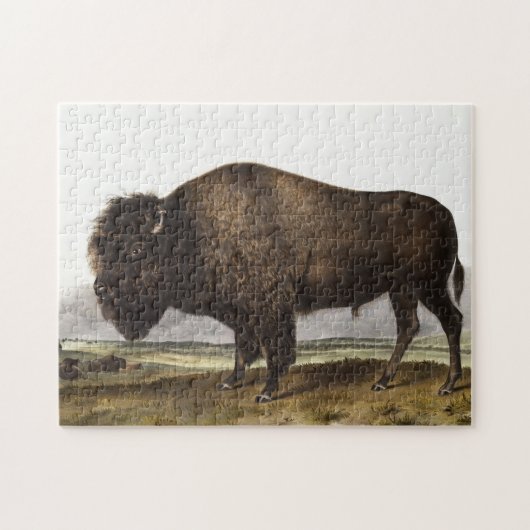 Illustratie Amerikaanse Bison (Bos Americanus) Legpuzzel (Horizontaal)