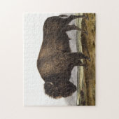 Illustratie Amerikaanse Bison (Bos Americanus) Legpuzzel (Verticaal)