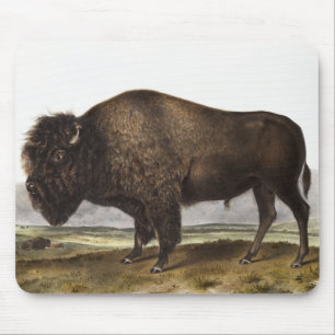 Illustratie Amerikaanse Bison (Bos Americanus) Muismat