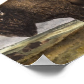 Illustratie Amerikaanse Bison (Bos Americanus) Poster (Hoek)