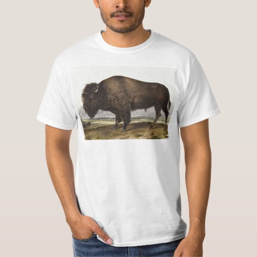 Illustratie Amerikaanse Bison (Bos Americanus) T-shirt (Voorkant)