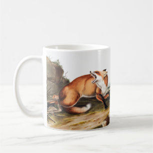 Illustratie Amerikaanse rode vos (Vulpes Fulvus) Koffiemok