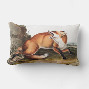 Illustratie Amerikaanse rode vos (Vulpes Fulvus) Kussen