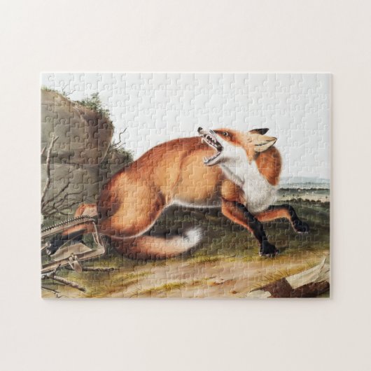 Illustratie Amerikaanse rode vos (Vulpes Fulvus) Legpuzzel (Horizontaal)