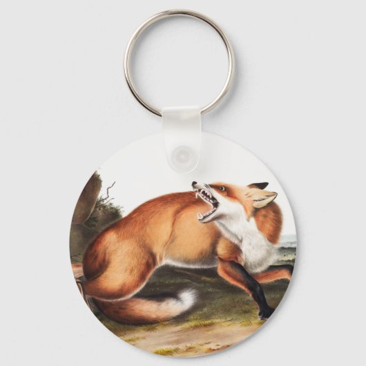 Illustratie Amerikaanse rode vos (Vulpes Fulvus) Sleutelhanger (Voorkant)