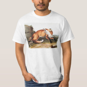Illustratie Amerikaanse rode vos (Vulpes Fulvus) T-shirt