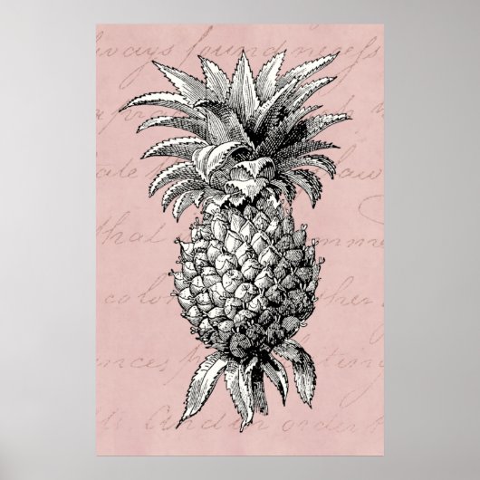 illustratie anananas 1800s Roze Poster (Voorkant)