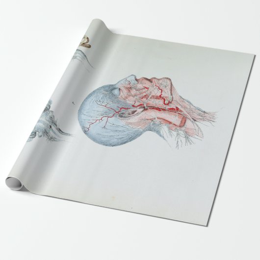illustratie Anatomie Menselijk hoofd en ogen Cadeaupapier (Uitgerold)