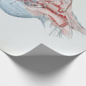 illustratie Anatomie Menselijk hoofd en ogen Cadeaupapier (Hoek)